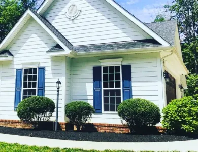 shrubs in front of house