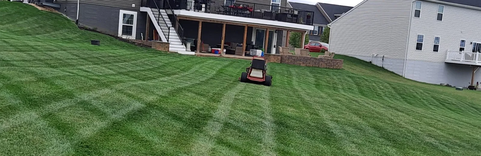 nicely mowed lawn