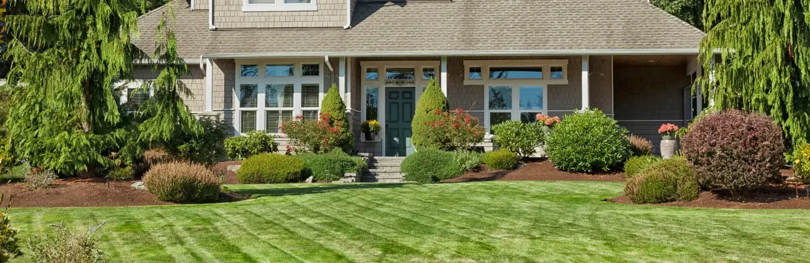 Green lawn with softscaping