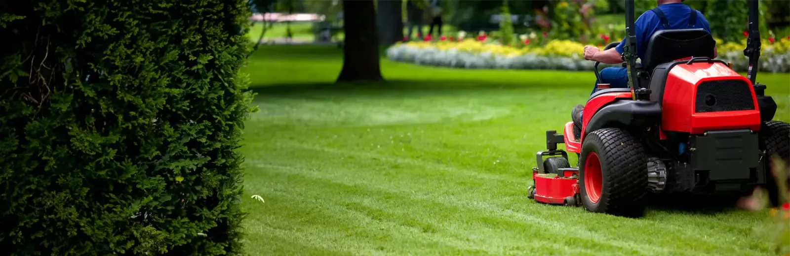 mowing yard