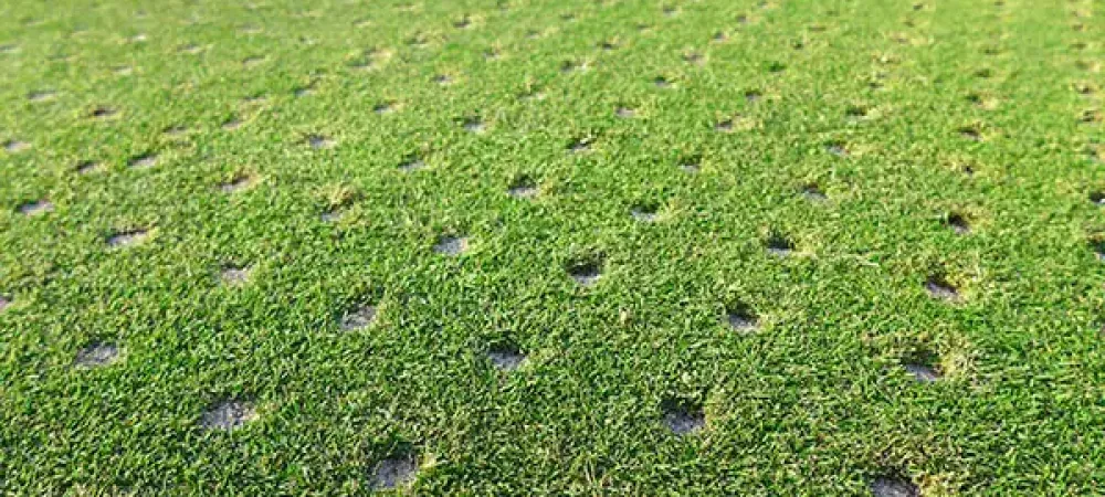 a lawn with aeration holes