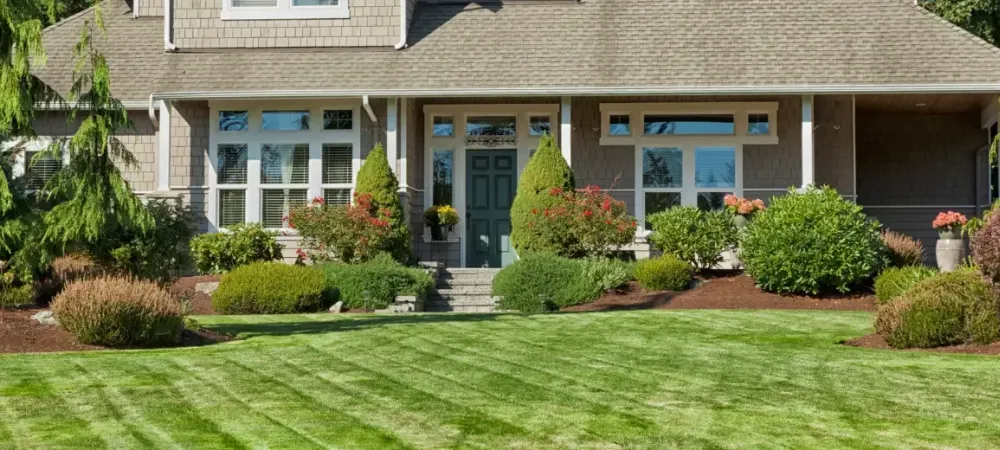 Green lawn with softscaping