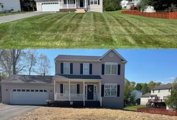 lawn