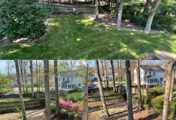 lawn