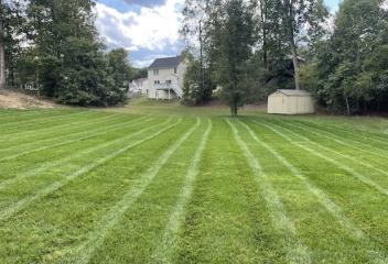 lawn
