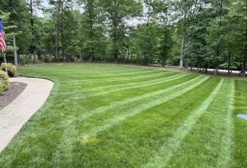 lawn