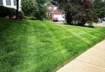 Imperial Landscaping