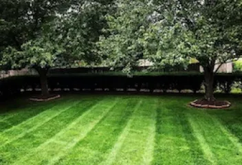 Imperial Landscaping