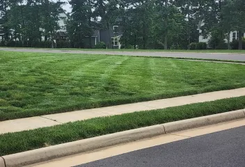 fresh healthy lawn