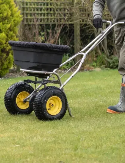 lawn fertilization