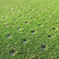 a lawn with aeration holes