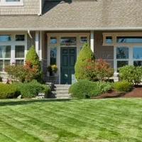 Green lawn with softscaping