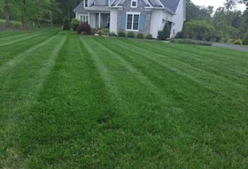 lawn