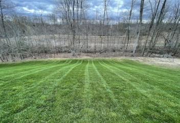 lawn