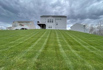 lawn