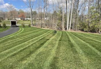 lawn