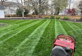 lawn