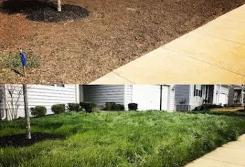 Imperial Landscaping