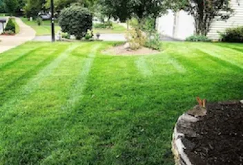 Imperial Landscaping