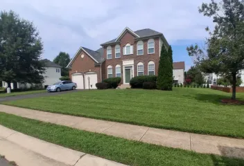 healthy green lawn