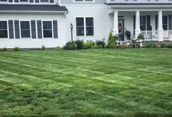 house and nice lawn