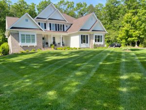 Mowing Services in Stafford